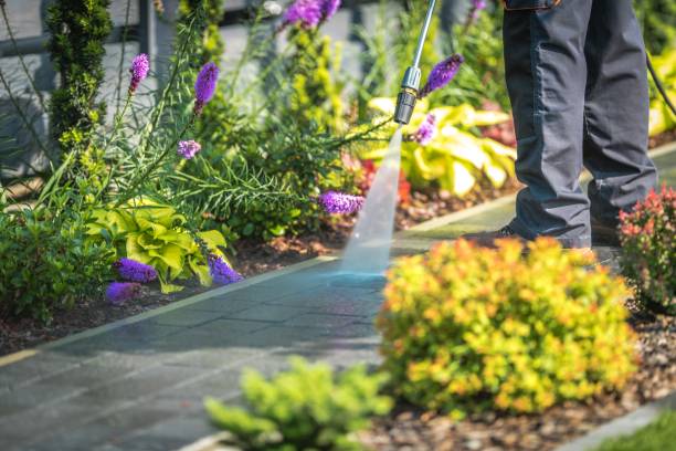 Best Warehouse Cleaning  in Tillamook, OR